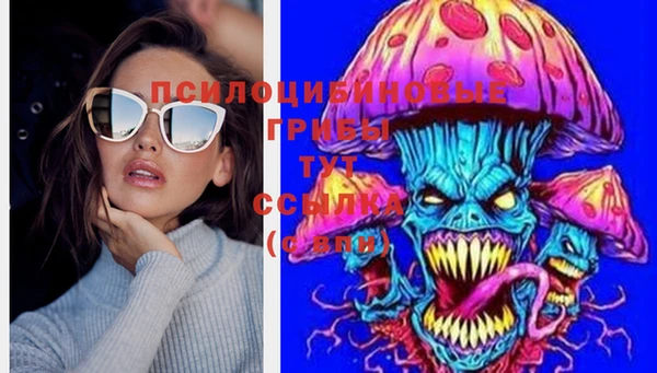 MDMA Premium VHQ Михайловка