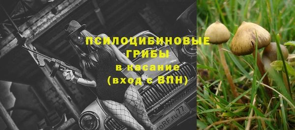 мдма Михайлов