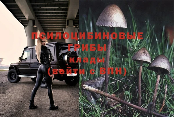 мдма Михайлов