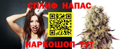 apvp Гусь-Хрустальный