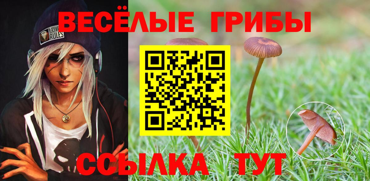 Галлюциногенные грибы Psilocybine cubensis  Вход с VPN  Нефтекамск 