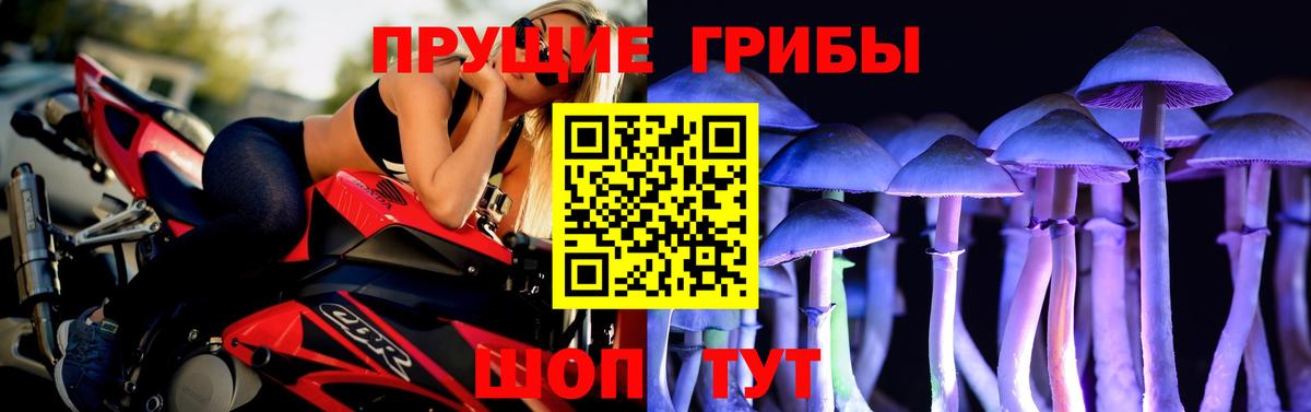 Галлюциногенные грибы GOLDEN TEACHER Нефтекамск